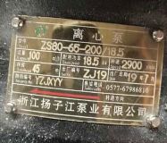ZS80-65-200-18.5ı